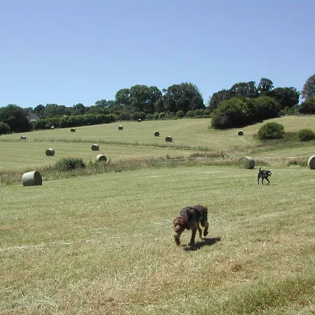 L'auvraire 4* Coulouvray-Boisbenatre