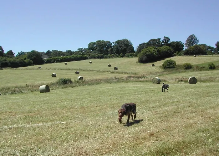 L'auvraire 4* Coulouvray-Boisbenatre